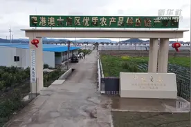 变“废”为“宝”的蚯蚓，来了解一下？图片