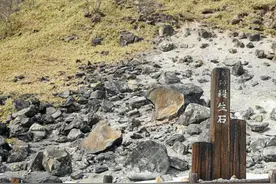 日本有块裂开的石头上了热搜图片