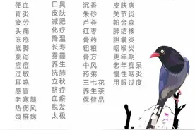 小身材，大功效——蓝莓图片
