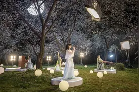 央媒联手直播点击过亿，全国观众共赴武汉樱花之约图片