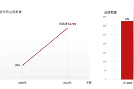 拼多多《2022多多新国潮消费报告》：小镇青年最爱“野性消费”，支出不输都市白领图片