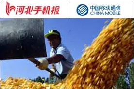 「新闻早茶」河北将对实际种粮农民发放一次性补贴！还有这些热点……图片