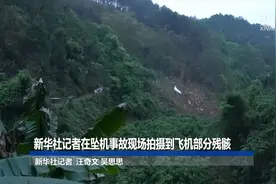 新华社记者在坠机事故现场拍摄到飞机部分残骸视频封面