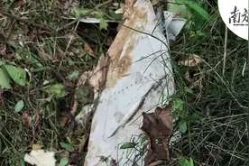 一线直击｜南方日报、南方+记者进入核心救援现场，发现大量飞机残骸碎片图片