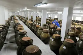 四川酸菜能放心吃吗？记者实地探访四川泡菜生产企业图片