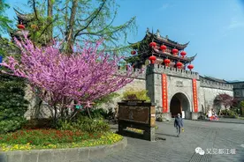 喝茶休闲、户外野餐，不能错过的都江堰春游秘籍，来了！图片