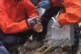 “3·21”东航飞行事故第三天：这些消息已确定，这些谣言不要信图片