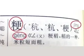 “南籼北粳”你了解多少图片