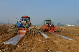 端稳“糖罐子” 日子会更甜图片