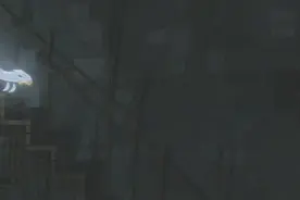 神奇动物在“窟”里图片