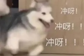 注意！下周上班时间有变，广东多地最新通告→图片