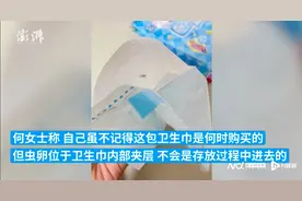 卫生巾有虫卵？七度空间：异物为胶粘剂类物质，对人体无害图片