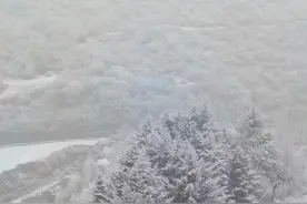 康定下“春雪”了 折多山实行交通管制图片