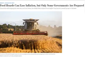 华尔街日报：俄乌开打粮价看涨，“中国准备最充分”图片