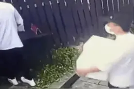 眼神一对，包子免费图片