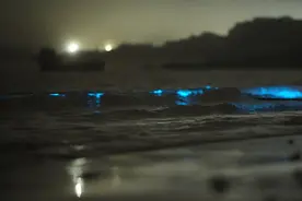 去完这个岛，我对马尔代夫没执念了图片