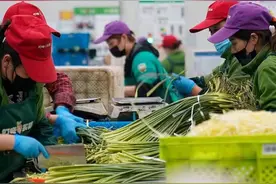 一夜火，这首沪语rap里有上海城市底色图片