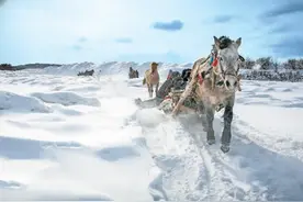 “我找到北了”图片