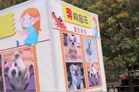 女子悬赏3000元全城寻狗终于成功：“它陪伴了我五年青春”图片