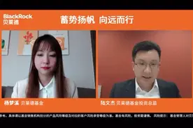 万亿巨头贝莱德发声：中国股票在全球配置中非常具有价值图片