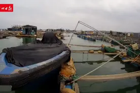 打击“大飞”集结点！广东湛江海警连续查扣11艘涉嫌违法船舶图片