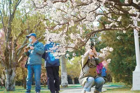 中山公园的“三代茶社”图片