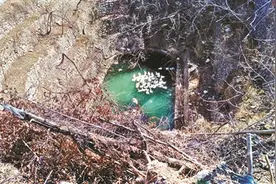 救援队自制捞鹅工具 救出坠入深坑大鹅图片