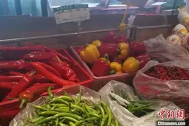 春天来了，菜却贵了，何时降？图片