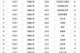 安徽大学：一个被公开警示的省属“双一流”建设样本图片