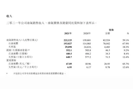 业绩爆发！中海油去年实现净利润703亿元，创历史最好水平图片