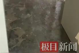 居民在公共走廊里养狗，物业、民警劝说后将狗送到收养机构图片