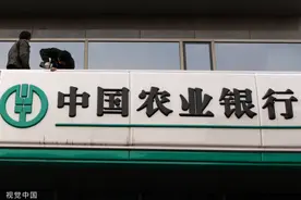 农业银行去年营收破7000亿元，每天赚近7亿，行长：对风险管控充满信心图片