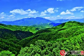 广西推进“两山”双向转化 首个国家储备林PPP项目落户上林图片