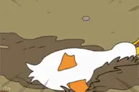 惊险！小货车爆胎翻车，360只鸭子在高速上“撒欢”| 覆车之戒图片