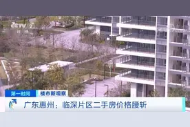 广东惠州：临深片区二手房价格腰斩图片