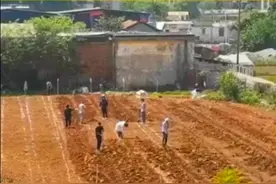 今日主角｜这节课，我们种田图片