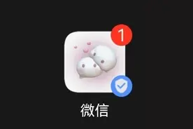 iPhone更换微信图标教程，安卓：不就是换个主题？图片