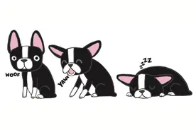 为什么漫画中要用“Zzz”表示睡眠呢？图片