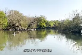 铲屎就够了？动物园的“铲屎官们”做的可不止这些图片