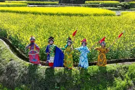 安徽绩溪：黄花绿叶绽放 春染白墙黛瓦图片