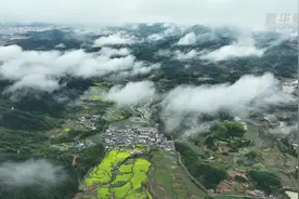 梯田遇上油菜花 漫山春色惹人醉图片