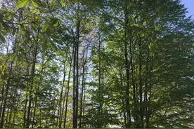 再肤浅浮华的人间烟火，都好过不可抗力导致的萧索凄凉图片