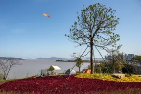 不下雨的清明假期，有多罕见？节后好天气继续营业，气温将直冲24℃图片