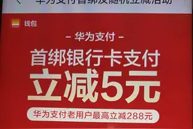 华为支付产品营销拉客 用户增量破局存挑战图片