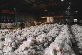 守望相助！江苏驰援上海日供果蔬891吨图片