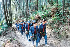 云涌井冈竹图片