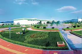 瞭望 | 从“瘦马塘”腾飞的银鹭，见证厦门沧桑巨变图片