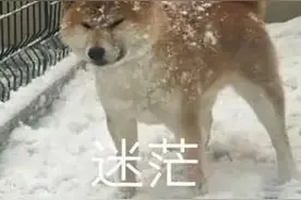 每日一笑 | 脑筋急转弯图片