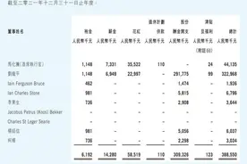 降薪逾20%！腾讯总裁刘炽平年薪3.23亿元，马化腾4410万元，网友：现在能有班上已经很好了图片