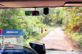 西双版纳一村民爬上10米高大树采蜜不慎坠落，消防员穿越原始丛林将他救出图片